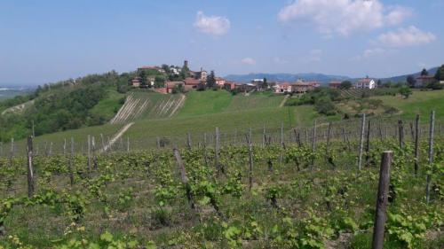 Il Sentiero Del Sole - Monleale