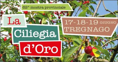 Mostra Provinciale La Ciliegia D'oro - Tregnago