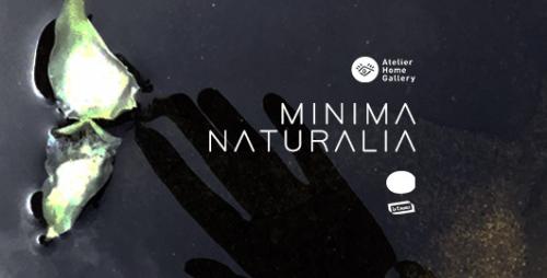 Personale Di Elisa Barbierato - Trieste