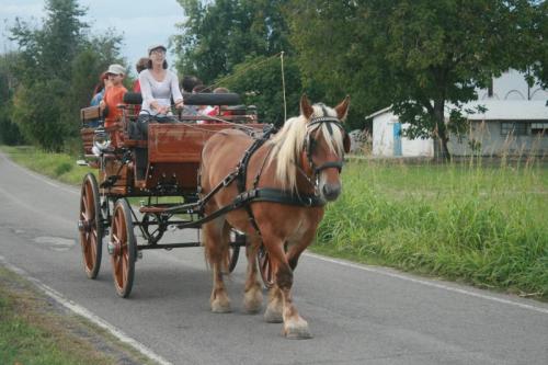 Gite In Carrozza - Reggio Emilia