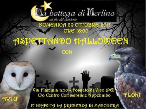 Dolcetto O Gufetto? - Fossato Di Vico