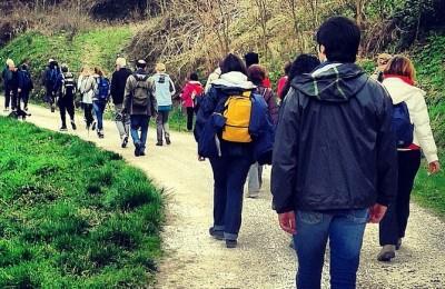 Camminata Tra Le Colline - Cartoceto