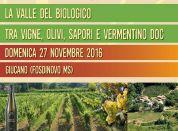 La Valle Del Biologico - Fosdinovo