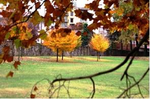 Fondazione Marazza - Borgomanero