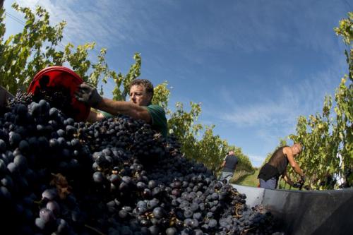 San Martino A Podere Vecciano - Coriano