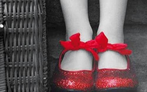 Fiabe In Bottega - Civitanova Marche