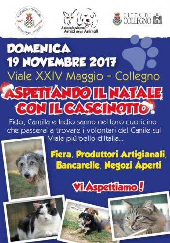 Aspettando Il Natale A Collegno - Collegno