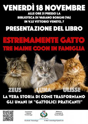 Estremamente Gatto - Tre Maine Coon In Famiglia - Varano Borghi