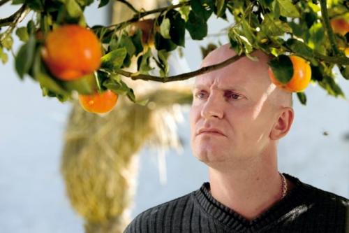 Portoastra Di Padova - Padova