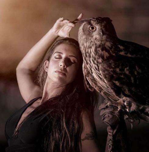 Falconieri Per Un Giorno - Poggibonsi