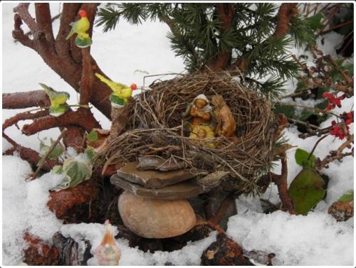 Esposizione Di Presepi Naturali - Salsomaggiore Terme