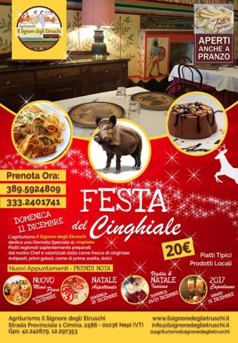 Festa Del Cinghiale - Nepi