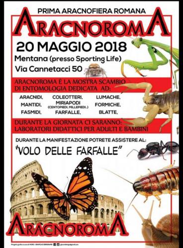 La Mostra Di Entomologia  Aracnoroma A Mentana - Mentana
