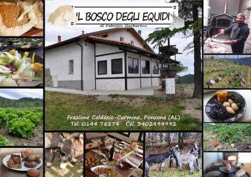 Capodanno In Campagna A Ponzone - Ponzone