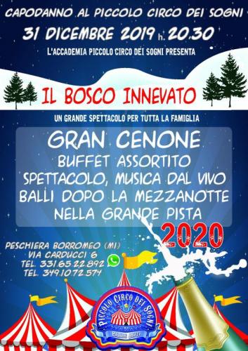 Capodanno Al Piccolo Circo Dei Sogni - Peschiera Borromeo