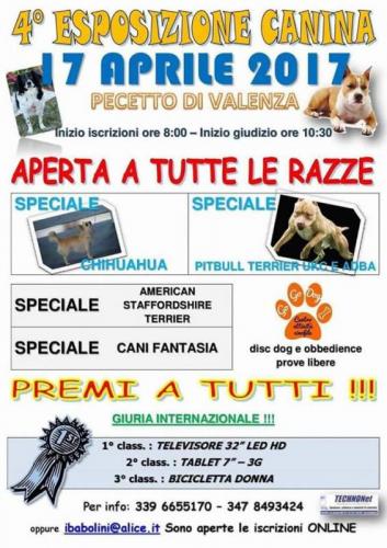 Esposizione Canina - Pecetto Di Valenza