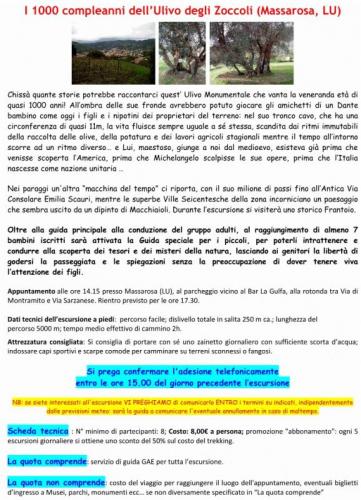 L'ulivo Degli Zoccoli - Massarosa