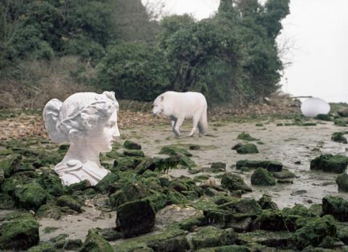 Disegno Vs Fotografia - Modena