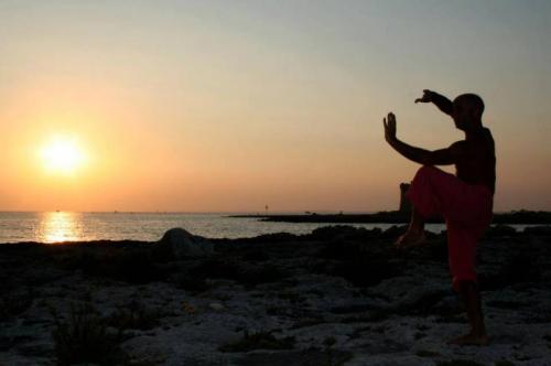 Workshop Di Tai Chi  - Bologna