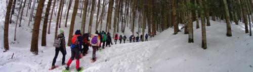 Ciaspolata E Bagno Termale - Arezzo