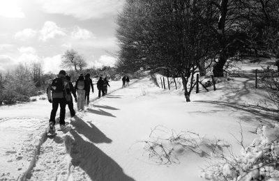 Ciaspolata Sul Monte Nerone - Piobbico