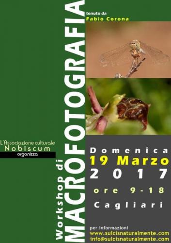 Di Fiore In Fiore - Cagliari