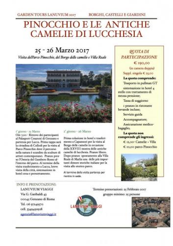 Pinocchio E Le Antiche Camelie Di Lucchesia - Roma