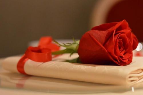 San Valentino Al Bernini Palace - Firenze