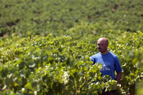 Doppia Verticale Di Nino Barraco - Milano