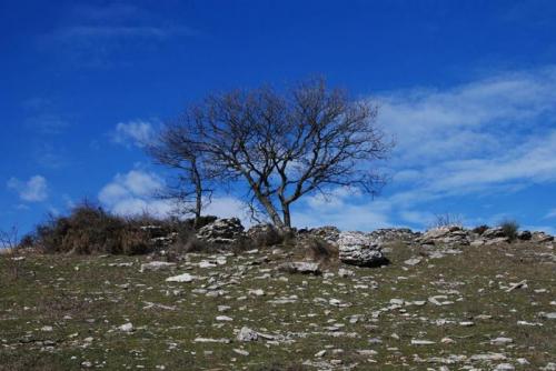 Calvana: San Leonardo-valibona - Prato