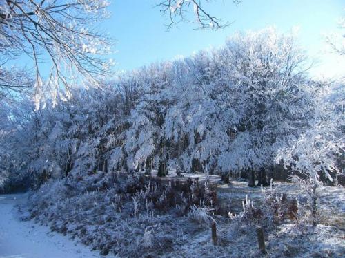 Ciaspolata A Camaldoli - Arezzo