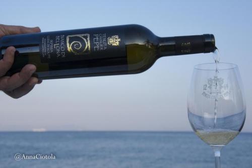 Verticale Bianco Di Bellona Di Tenuta Cavalier Pepe - Torre Del Greco