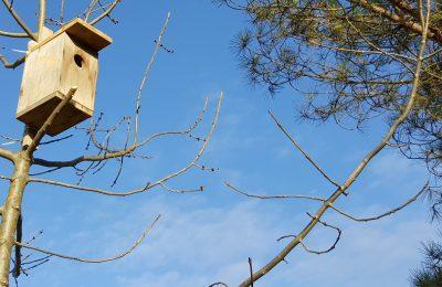 Nidi E Bug-hotel - Pesaro