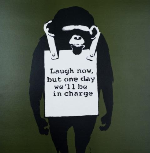 Street Vinyls - Torino