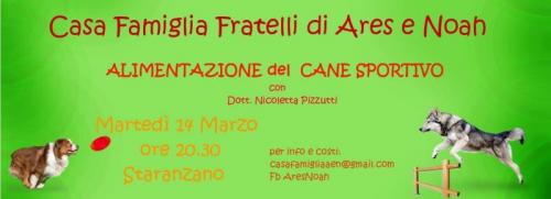Alimentazione Del Cane Sportivo  - Staranzano