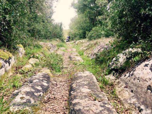 Trekking Con Salento Faber - Cisternino
