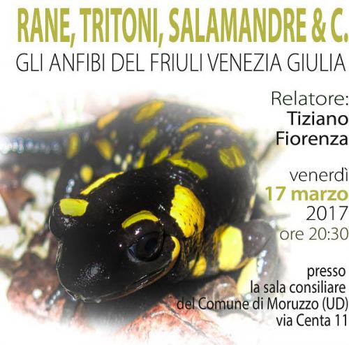 Il Parco Di Brazzà - Moruzzo