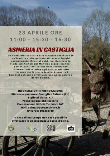 Asineria In Castiglia - Saluzzo