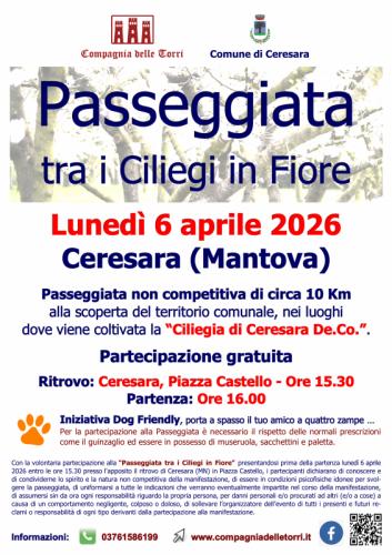 Passeggiata Tra I Ciliegi In Fiore - Ceresara
