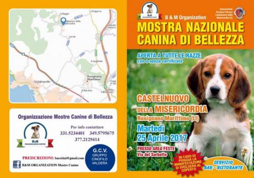 Mostra Canina Di Bellezza - Rosignano Marittimo