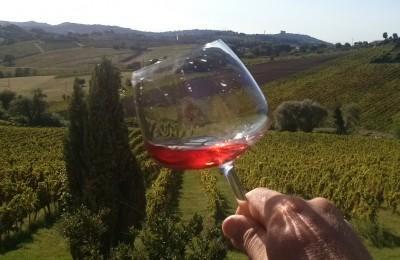 Magnabevilonga Nelle Colline Pesaresi! - Monteciccardo