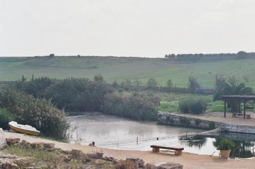 Mar Piccolo Di Taranto - Taranto
