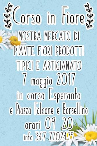 Corso In Fiore - Bologna