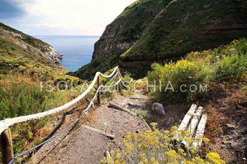 Pasqua E Pasquetta Ad Ischia - Ischia