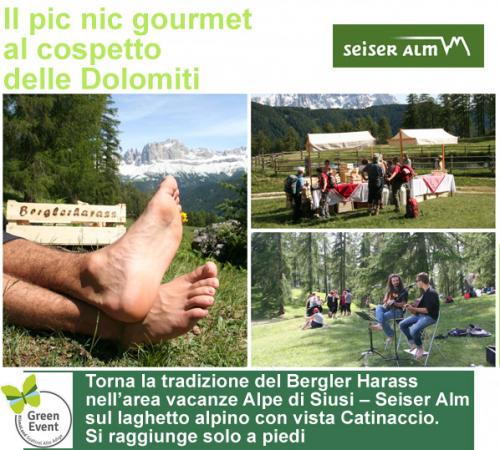 Il Pic Nic Gourmet Al Cospetto Delle Dolomiti - Tires