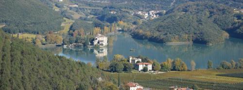 Nosiola & Bike Tour - Trento