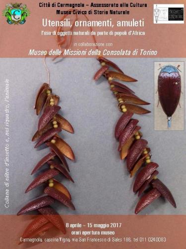 Museo Civico Di Storia Naturale Di Carmagnola - Carmagnola