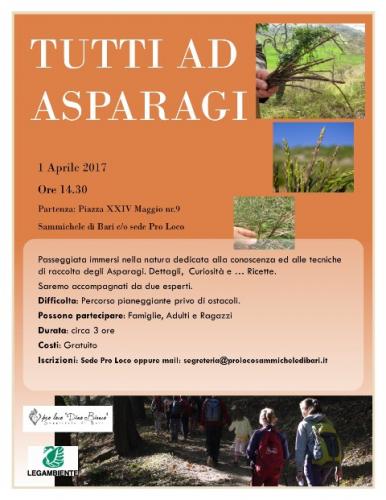 Tutti Ad Asparagi - Sammichele Di Bari