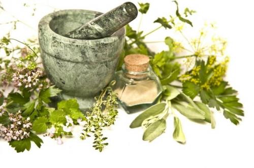 Racconti Di Erbe - Santa Sofia