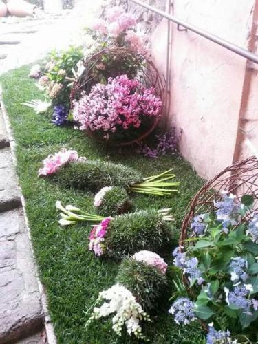 Primaveraerba - Erba